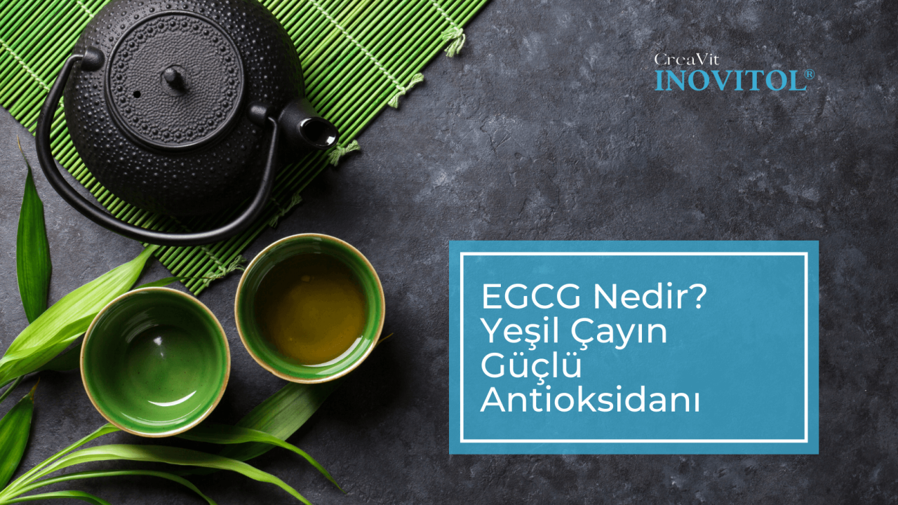 EGCG Nedir? Yeşil Çayın Güçlü Antioksidanı Hakkında Bilmeniz Gerekenler